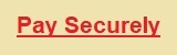PAY SECURELY PAGE!